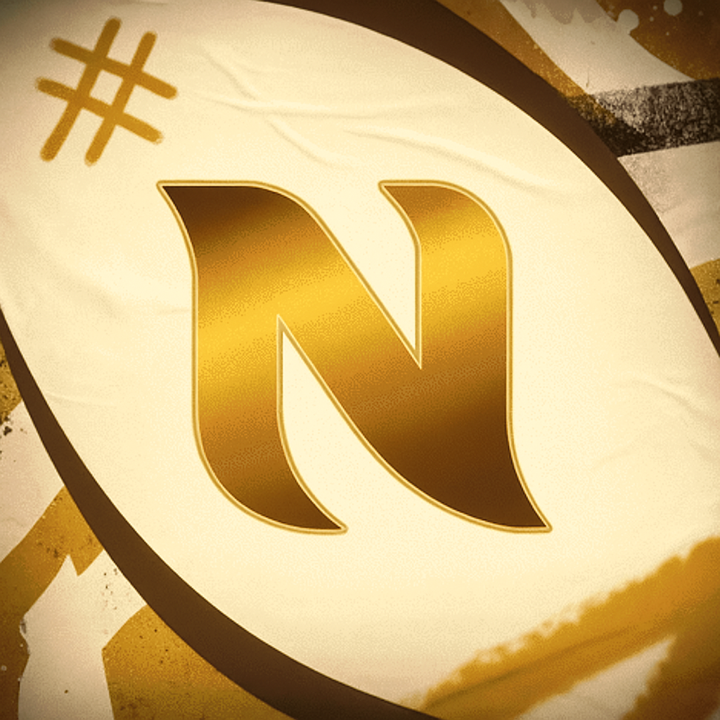 Logo Nyzer